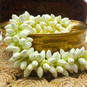 மல்லிகை மலர் MOLAM