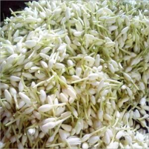 முல்லை பூ